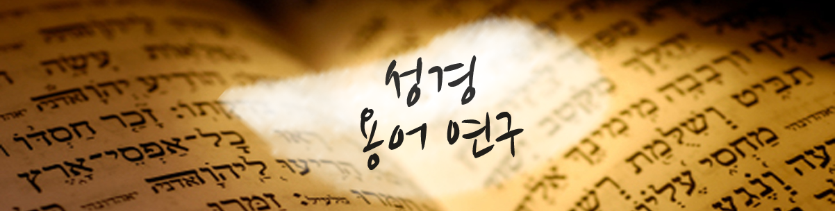 성경진리사역원(BTMK) | 제사장 직분 (priesthood)